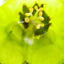 代理价格划算的攻击网站的方法